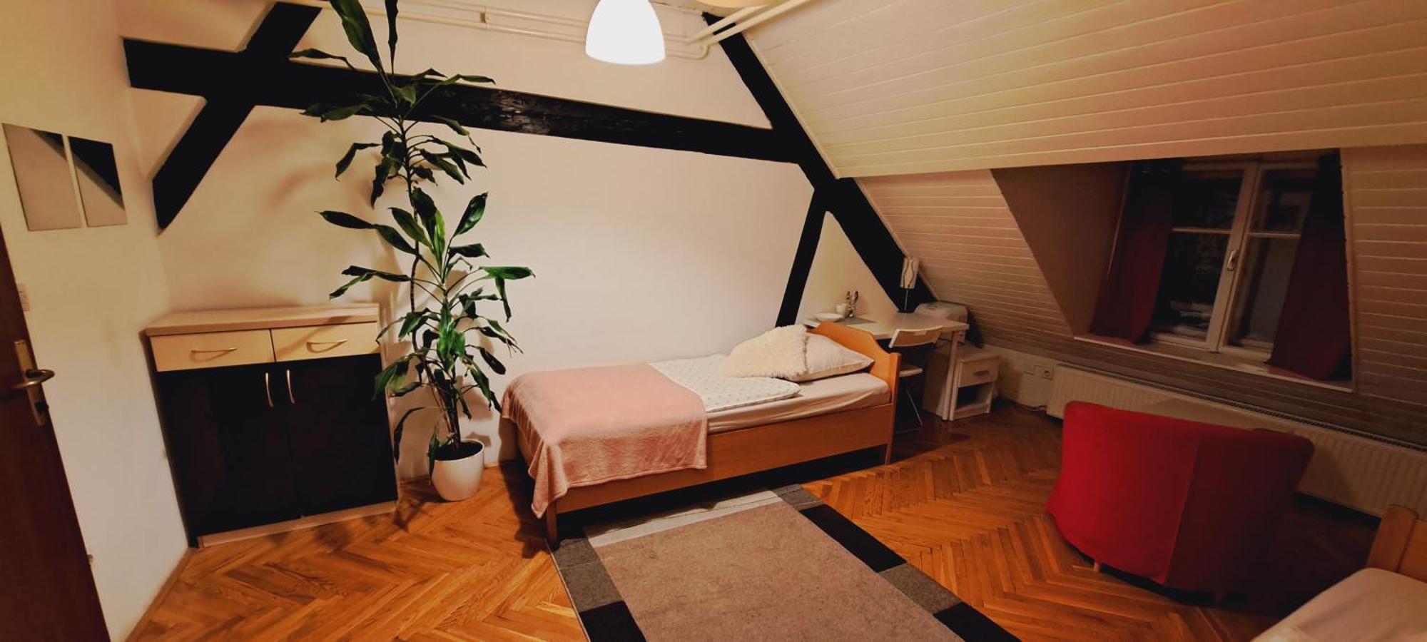 Viksi Hostel ليوبليانا الغرفة الصورة
